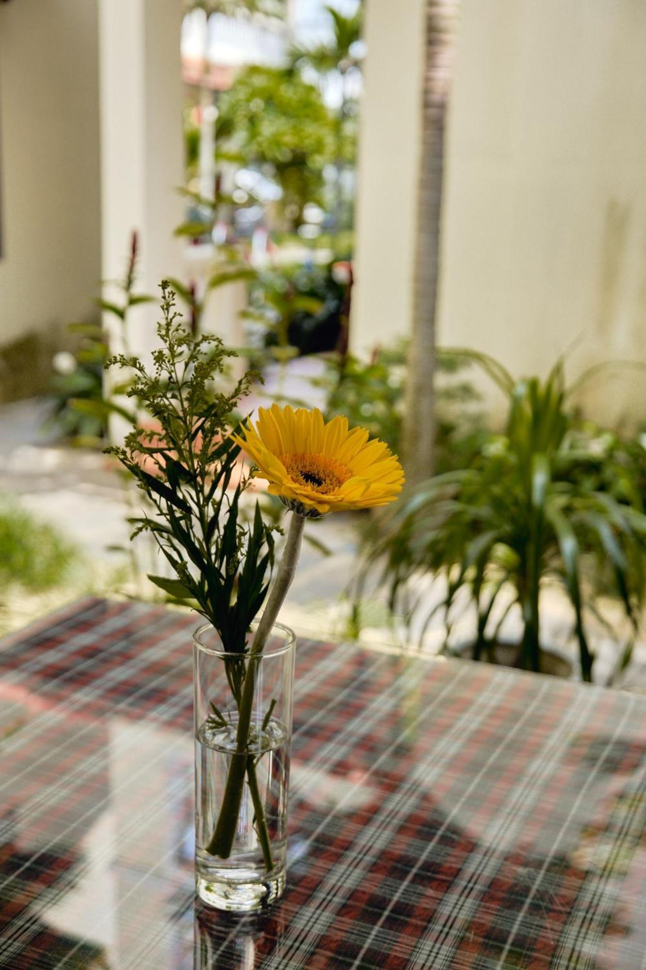 Hoi An Holiday Villa Dış mekan fotoğraf